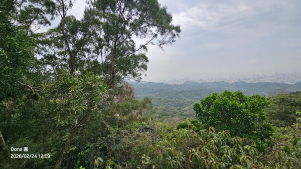 圓通寺烘爐地登山步道大O走3007038