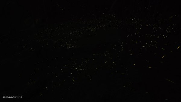 翡翠水庫壩頂 #火燒雲雲海 #日出雲海 #鱷魚島 #藍腹鷴 4/292773442