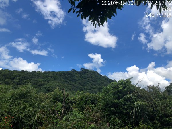 台灣小百岳No.005觀音山1087031