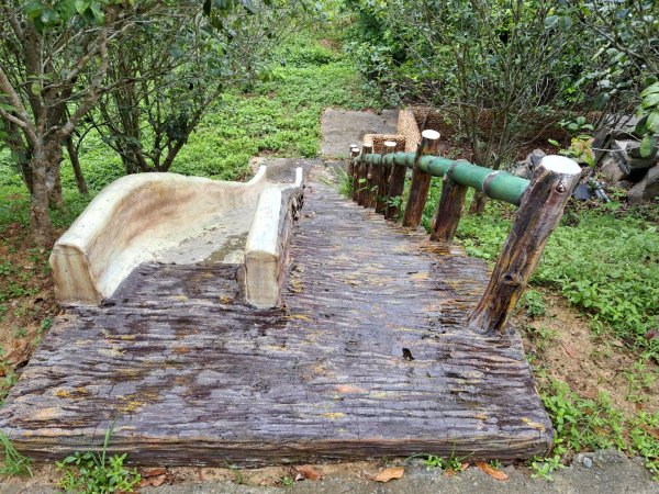 2026森遊竹縣：寶山迴龍步道，環湖步道3107263