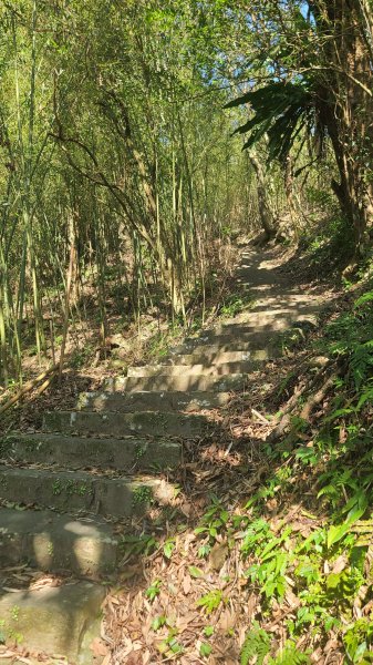 2025-0130溪和宮-大崎頭步道-鵝尾山-平溪步道-鵝尾山水田-42巷-溪山百年古圳-平菁步道2701850