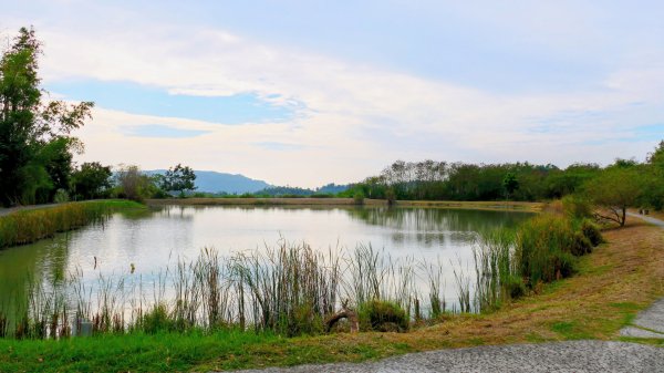 田寮月世界2954565