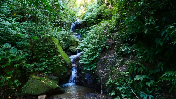 大尖山瀑布2932163