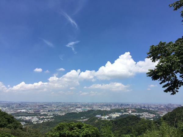 台灣小百岳#015-大棟山363364