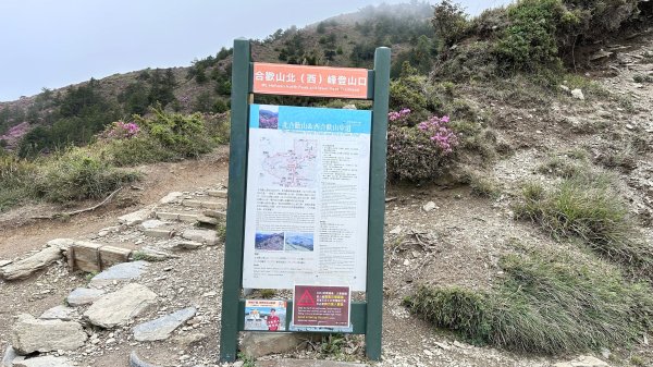 風雨中完成合歡北峰登頂2515331