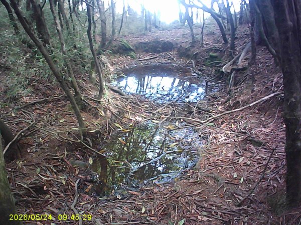 兒玉(自忠)山、東水山、東水山西峰及特富野古道O繞。3061793