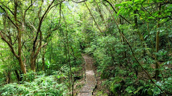 暖東峽谷大環小環2834414