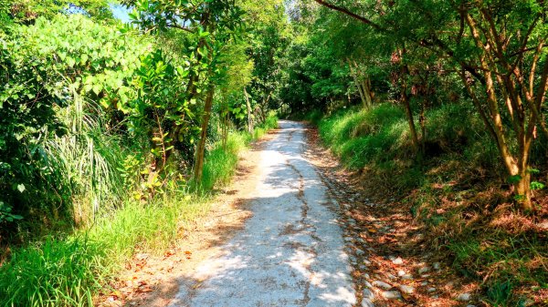 左營半屏山2954319