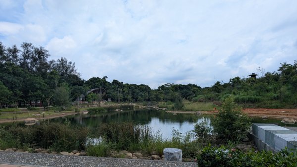 20250629大湳森林公園好所在2823580