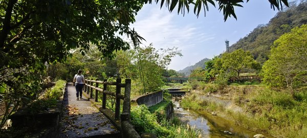 獅潭觀魚步道+潭老街-2026/03/293026428