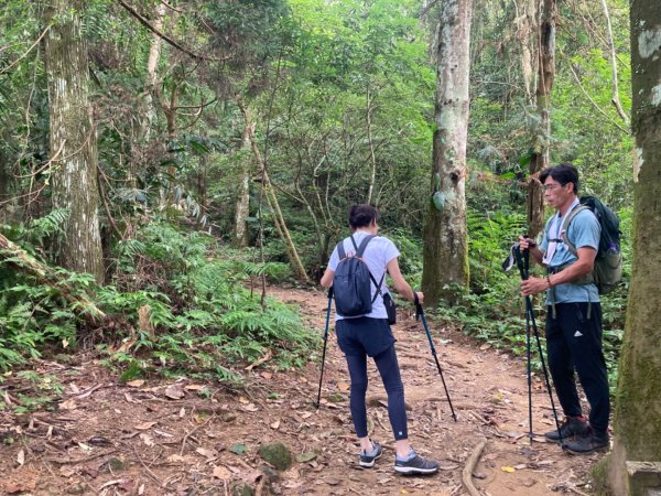 五指山登山步道2293198