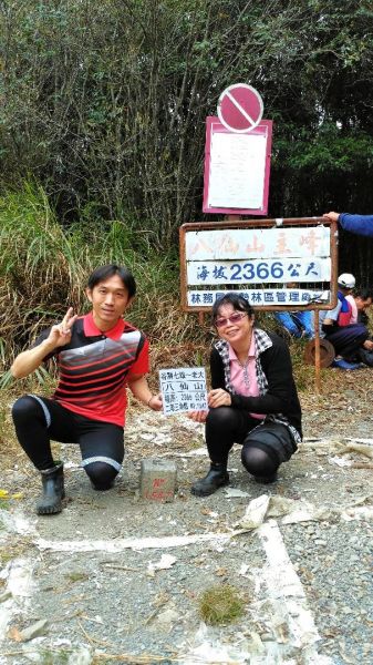 谷關七雄之首➡️八仙山(松鶴上八仙山)302216