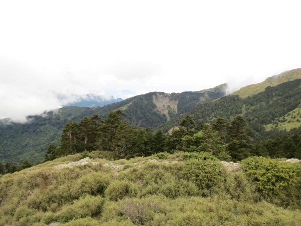 合歡山東峰-尖山-小奇萊-石門山2513132