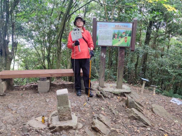 東眼山森林公園2243846