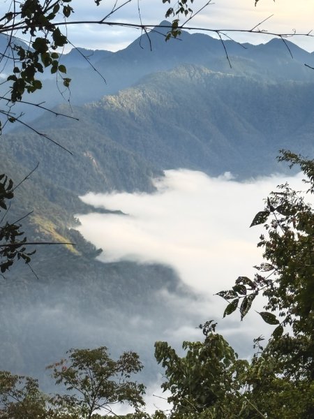 雪見遊憩區 探訪森林雪見之王2950858