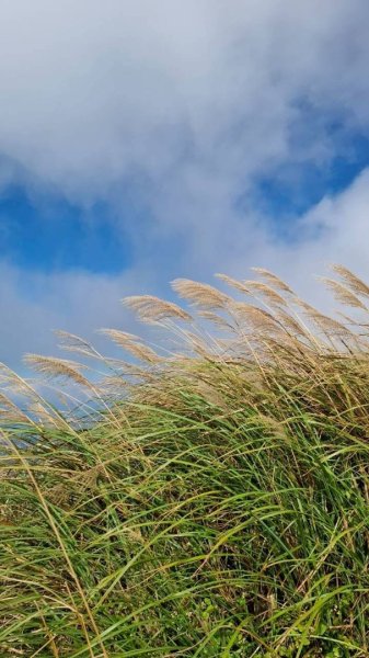 大屯山五連峰含面天山2934624