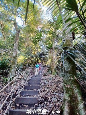 【台中和平】生態廊道。 雪山坑環線步道x巨人之手觀景點2954003