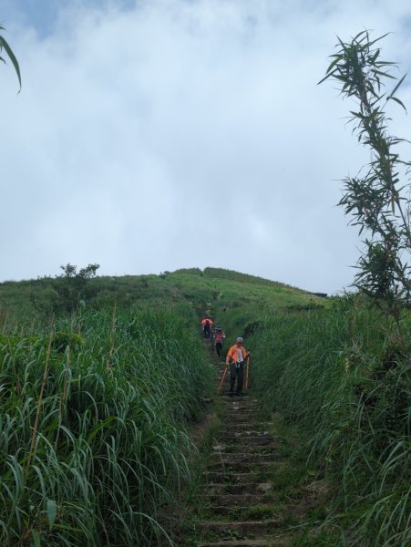 2025.05.17－大屯山步道下清天宮2790025