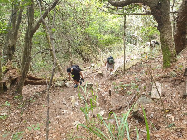 麗陽上屋我尾山2683127