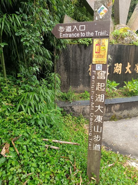 嘉義大凍山2876978