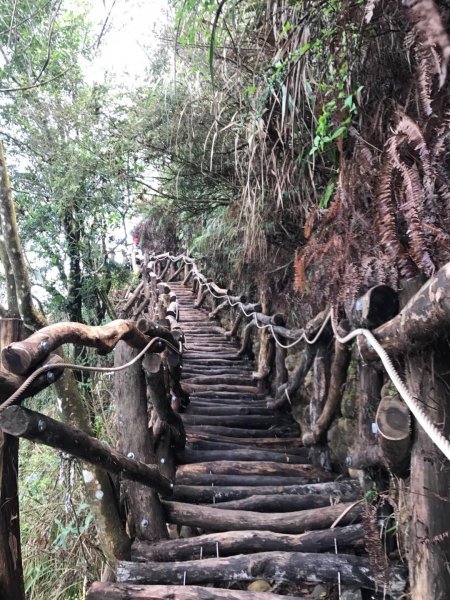 頭嵙山攻頂577449