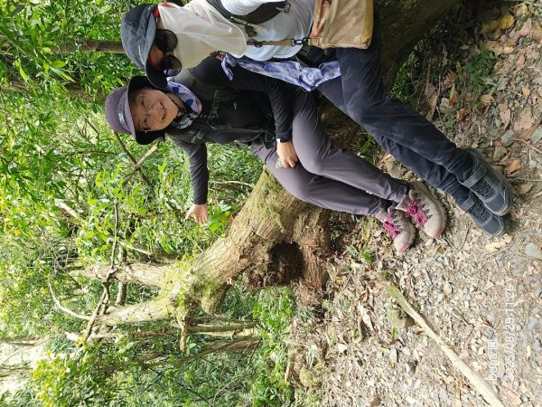 小百岳三角崙山(東南峰)全紀錄2879908