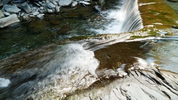 羅木斯溪登山步道113485