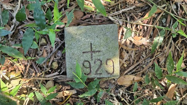 20250925柑子坑山動01-動04-市929-市582894941