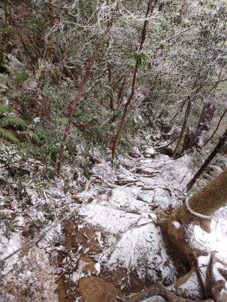 雪季北得拉曼2956419