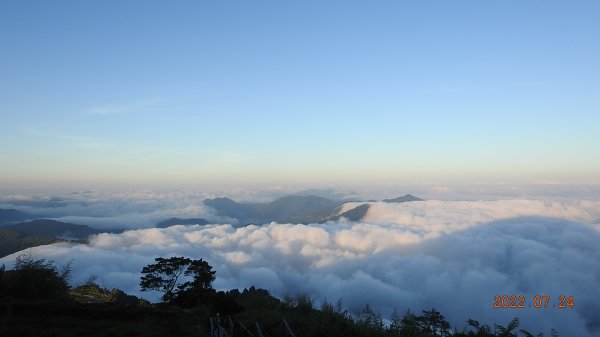 最高小百岳-大塔山2663M&阿里山二延平步道1774990