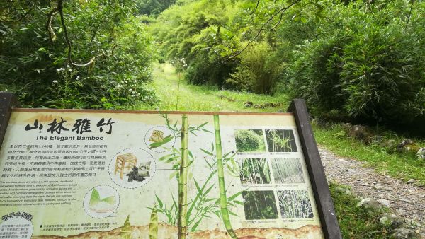 20180707漫步福山植物園380565