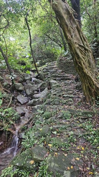 20251107大路崁登山步道-磺溪頭清水園區2930788
