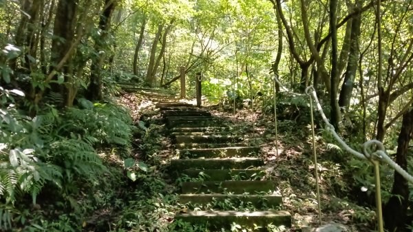 瑞芳區長興宮-粗坑口步道-觀音堂步道-碇內尖-長興宮O型3079027