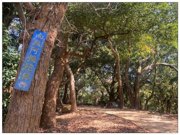 后里 毘盧禪寺步道3003936