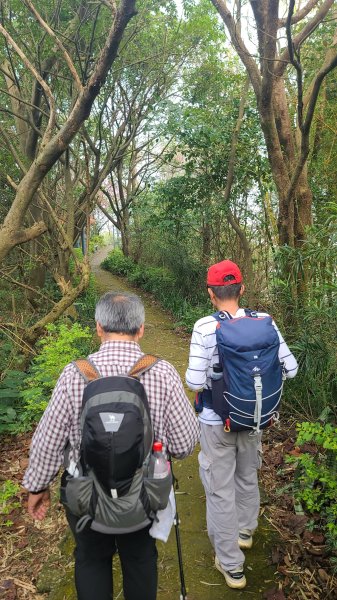 2025-0204 鶯歌_大凍山_三角埔頂山_迴龍2707978