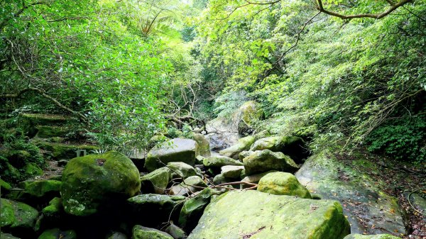 暖東峽谷大環小環2834406