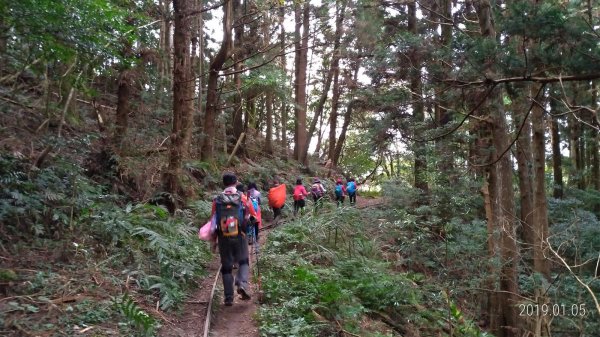 小百岳行~加里山(#34)，苗栗縣山500954