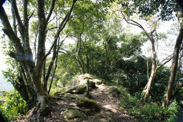 新竹 峨嵋 猿山、六寮山、玖玖山、獅頭山、獅尾山3012152