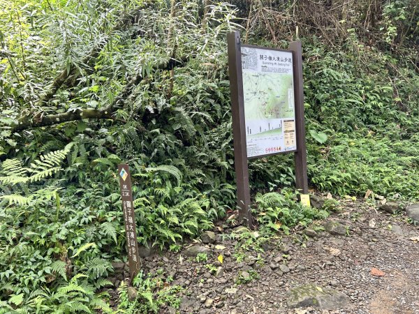 關子嶺雞籠山步道+大凍山2909446