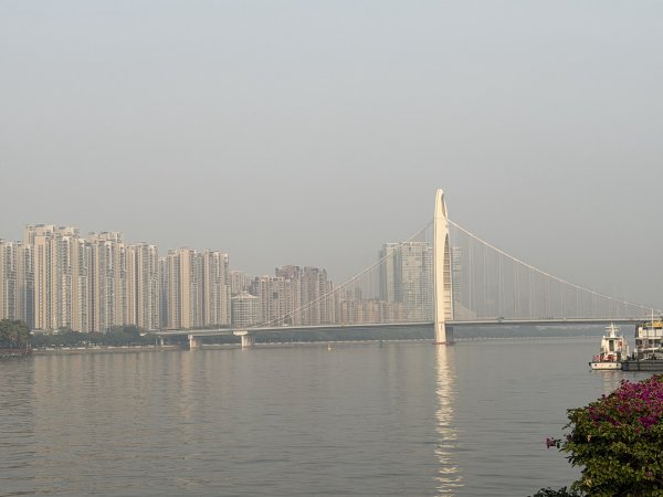 [茂名馬之行-03] 2026_0116 珠江畔-廣州摩天大樓2993977