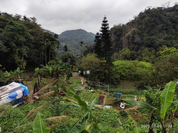 【臺北大縱走6】中華科大步道→九五峰→南港山→糶米古道→軍功山→中埔山→福州山公園→富陽自然生態公園2730073
