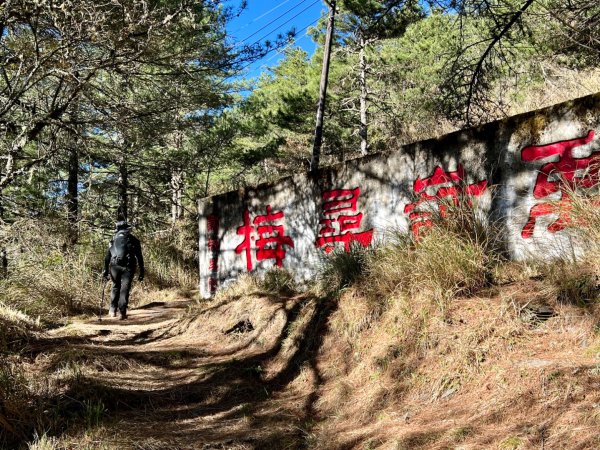 合歡越嶺上卯木山環走觀雲山莊2434008