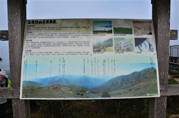 後棟仔山 & 雲嘉大尖山1378216