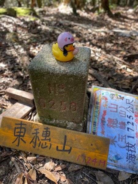 鲁壁山-東穗山-大島田山2662036