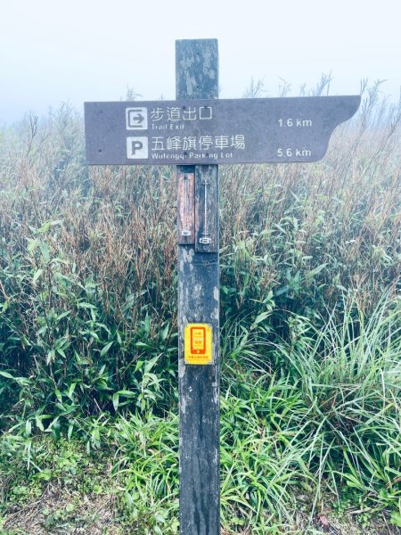 20250329 抹茶山-聖母登山步道2758938