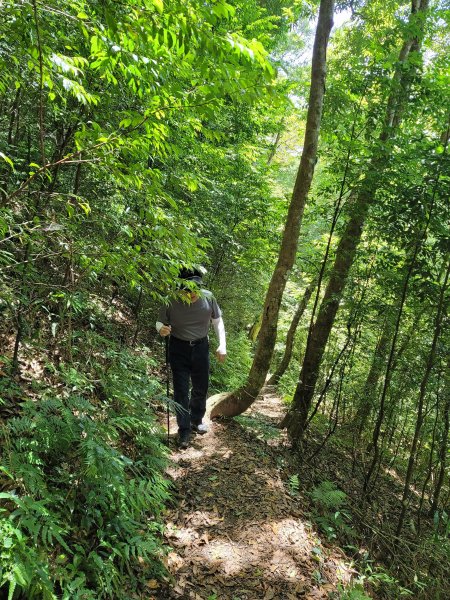 李棟山步道2206481