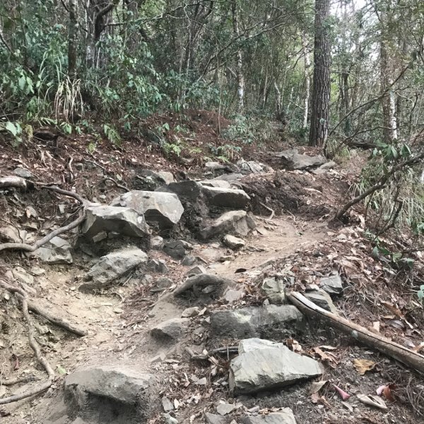 谷關七雄 馬崙山（老二）2023.03.042051367
