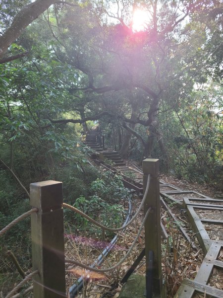 大坑6號上+8號探路+7號下2771419