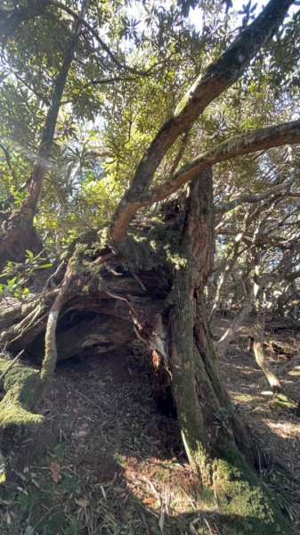 鲁壁山-東穗山-大島田山2662038