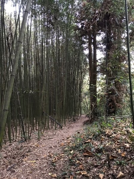 隱藏寧靜望美部落的望美山、望高寮、瓊山482347